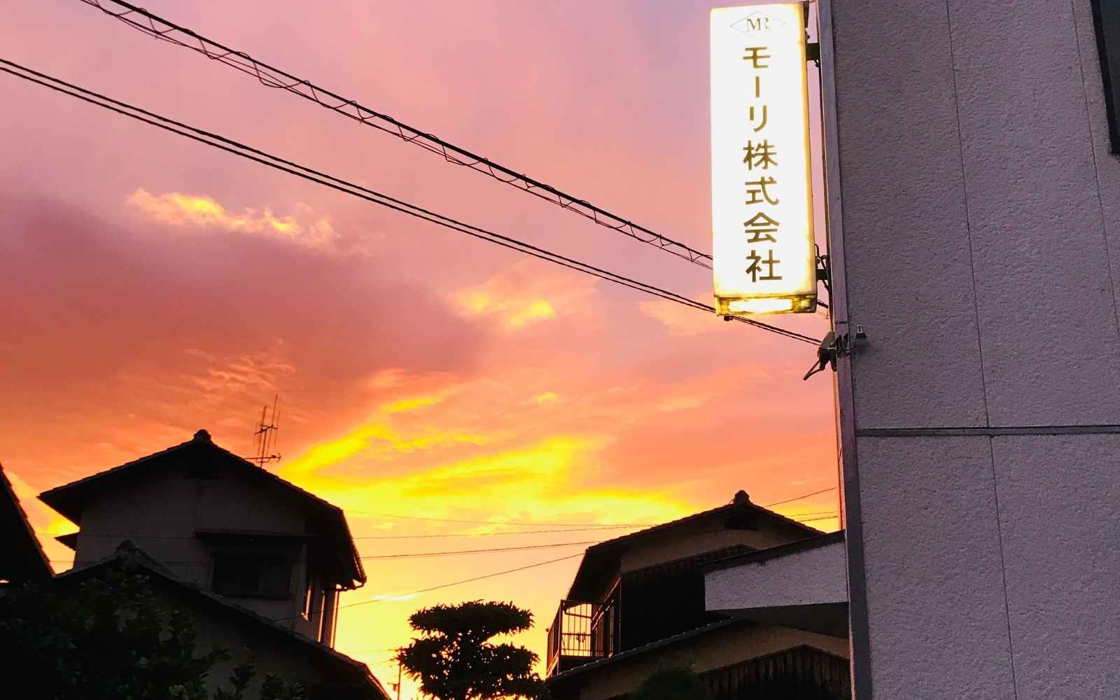 Sun setting behind our family business in Japan. The characters for Mori Kabu Company are written in Japanese on a sign outside the building. Tatami Borders woven in Japan at our family workshop.